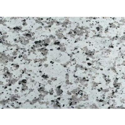 China Large Modern Custom Made White Flower Granite G439 Polished Slab Exterior Finish Polished Stone Large Shape Slab Warranty 3 Years for sale