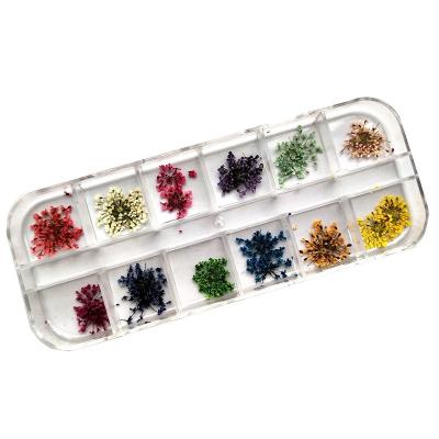 China Hotsale DIY Nail Art and Popular Nail Art Goods Dried Flower for Nail Art Decoration for sale