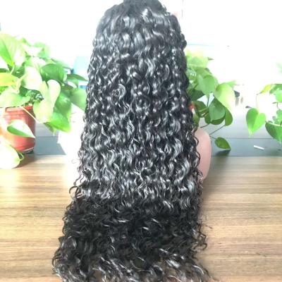 China Factory Direct Sale 10-30inch Water Wave 4*4 Lace Closure Wig Pre Plucked Hair Wigs For Black Women for sale