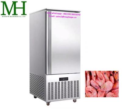 China Hotels 5/10 /15 Pans Factory Price Commercial Blast Freezer /shock Freezer Refrigerator for sale