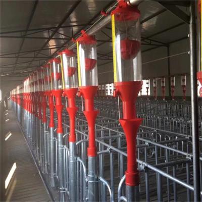 China Pig farm Modern designed 300sows turn-key piggery farming equipment for sale