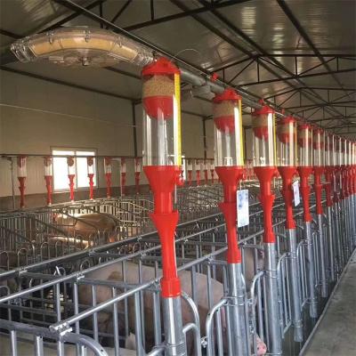 China Pig farm Full closed automatic swine pig house design farming equipment for 500sows farm for sale