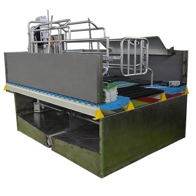 China Low mortality design Factory supply customized hot dip zinc farrowing pen sow farrowing crate for sale