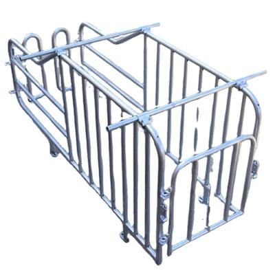 China Top fixing bar Pig farming hot dip galvanized steel gestation pen for sow for sale