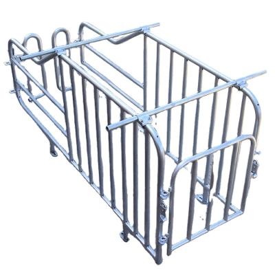 China Top fixing bar Customized piggery farm equipment galvanized sow gestation stall for sale