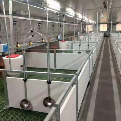 China Farms Cheap PVC wall galvanized steel pig nursery cage equipment for sale