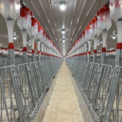 China Swine farm Farming Equipment Swine Feeding Production Line Disc&Chain Automatic Feeding System for Pig for sale