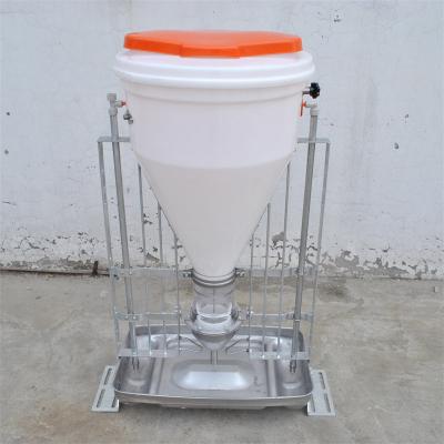 China Swine farm Factory manufactured piggery farming plastic automatic dry wet pig feeder for sale