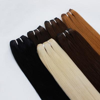 China 10-32 Inch 100% Human Hair Wholesalers Real Hair Unprocessed Cuticle Aligned Virgin Raw Indian Hair Forever for sale