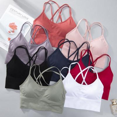 China OEM Breathable Custom Thin Shoulder Strap DME Adjustable Sports Bra Fitness Gym Yoga Seamless Bra for Women for sale