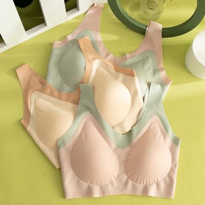 China QUICK DRY Traceless Home Crop Tops Latex Breast Pad Naked Feel Sports Bra Plus Size Radio Seamless Lift Up Bra For Women for sale