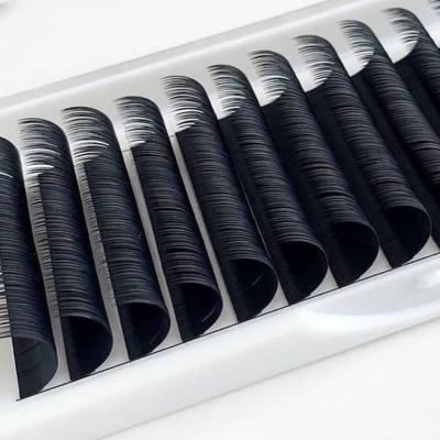 China Wholesale Hot Sale Natural Eyelash Extension Training Kit Fan Cashmere Long Easy Volume Whips Korean Silk Eyelash Extension for sale