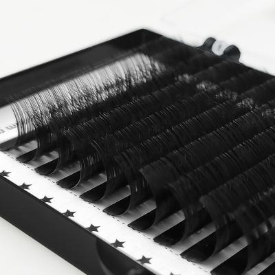 China Quick Fanning Threaded Custom Eyelash Extensions Private Label Lashes Natural Soft Eyelash 2022 New Popular Wholesale for sale