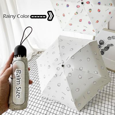 China Factory Direct Sales Casual Hot Creative Color Printing Five Color Changing Umbrella for sale