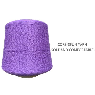 China Hot sale base netting 2/48nm polyester viscous yarn sales nylon dty elastic yarn for sale