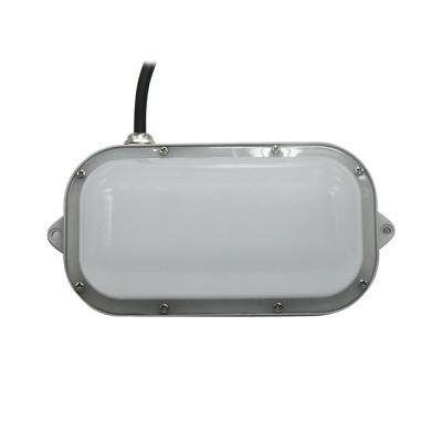 China Outdoor Led Wall Light 20w 30w Led Flood Light Cold Storage IP65 Refrigerant Led Lighting for sale