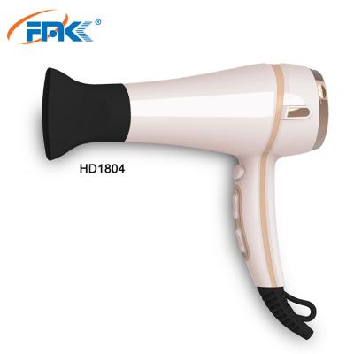 China Ionic Wholesale Professional Hair Dryer Salon 2 Speed ​​DC Motor Hair Dryer With Diffuser for sale