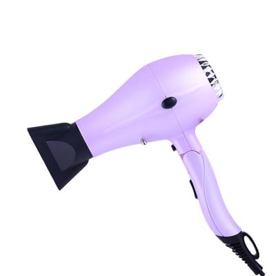 China Compact size foldable professional folding handle DC motor private label double voltage salon hair drying tool for sale