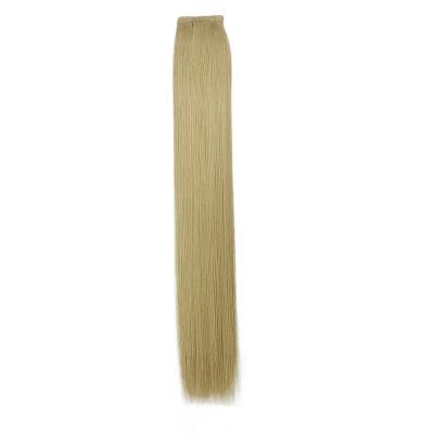 China 100 Human Hair Flat Hair Wefts Flatweft-231010 and Dyeable for Professional Dyeing for sale