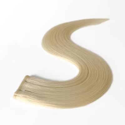 China Flatweft-231010 Human Hair Bundles Virgin Flat Weft Extensions for Your Requirement for sale