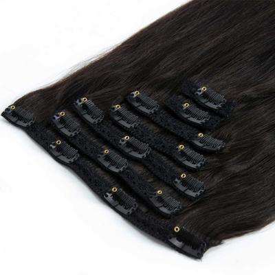 China Remy Hair Clip in Hair Extension Clip-Ins Cliphair-231013 with Materials for sale