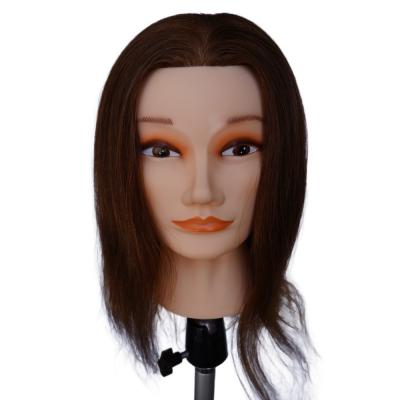 China Female Manikin Cosmetology Doll Head for Cosmetology Training and Practice Dummy for sale