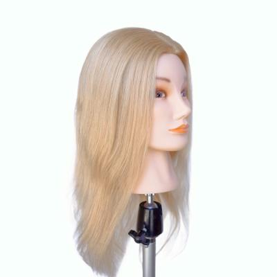 China Caras europeas con cabello real cabeza de maniquí para entrenamiento de peluquería y práctica de maniquí en venta