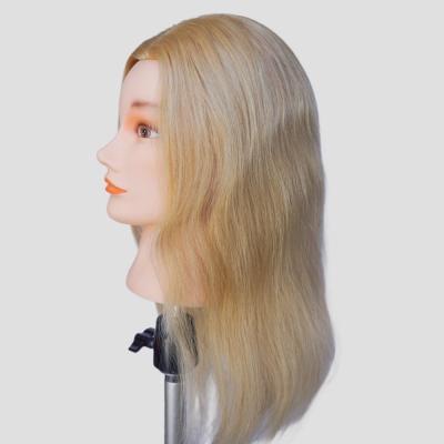 China European Face Practice Mannequin Head with Backward Hair Direction and Human Hair for sale