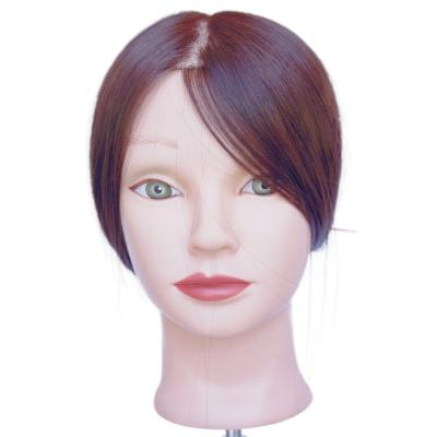 China 165g Weight Human Hair Training Head for Realistic Hair Styling US Currency for sale