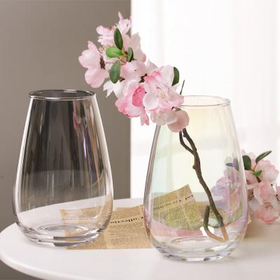 China Home Decor Wholesale Clear Glass Vase Plant Glass Flower Vases Eco-friendly Home Decoration for sale