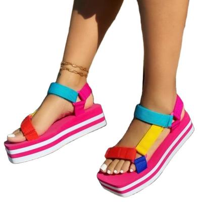 China Cushioning Colorful Fashion Style Summer Flat Sandals For Women And Ladies for sale