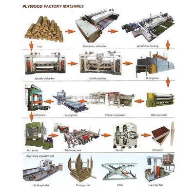 China Full plywood machine top level set professional plywood making machine for sale/plywood machine for sale