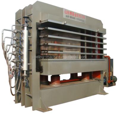 China China gold supplier price of plywood/plywood machinery door press for sale