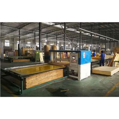 China Fully Automatic Vertical 4*8ft Plywood Falling Forming Machine Core Veneer Paving Line for sale