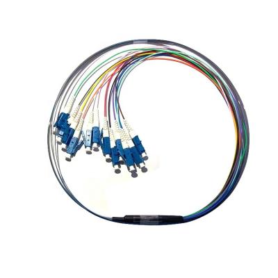 China FTTH FTTxFTTB Network Factory Manufacturing FTTH Data Center Fanout 12fiber Ribbon Patchcord for sale