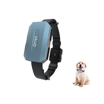 China Pet Safety No Hair Damage Puppy Tracker Device Pet Fence Pet GPS Location Smart Collar For Dog Cat for sale