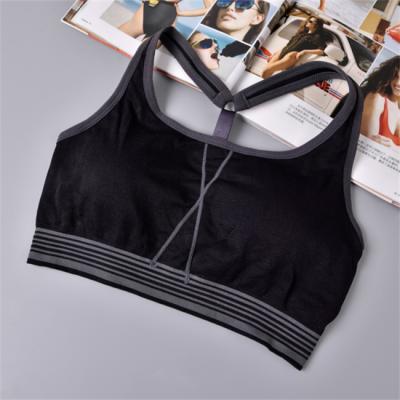 China Antibacterial Merino Wool , Cotton Fitness Comfortable Womens Sport Bra for sale