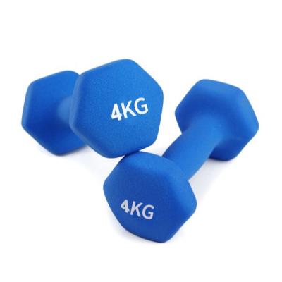 China Universal Home Gym Fitness Equipment Cast Round Head Rubber Coated Hex Dumbbell for sale