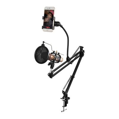 China Metal Floor Stand Desktop Aluminum Arm 360 Degree Swivel Stand for Microphone and Microphone Clip Holder à venda