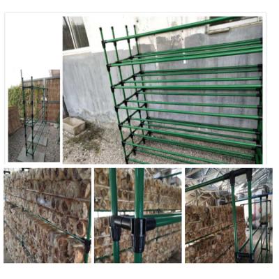 China Double Layers Frames Growing Mushroom Equipment Greenhouses For Mushroom for sale