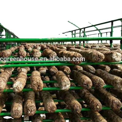 China Double Layers Frames Cultivate Mushroom Cultivation Bottle Breeding for sale