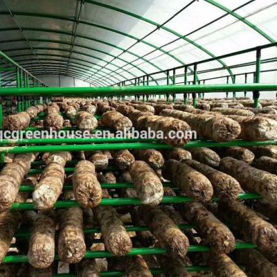 China Double Layers Running Frames Garden Shelves Greenhouse For Mushroom Mushroom Breeding for sale