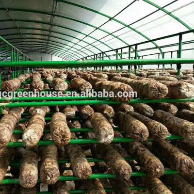 China Double Layers Frames Cotton Stuff For Mushroom Cultivation Room Equipment for sale