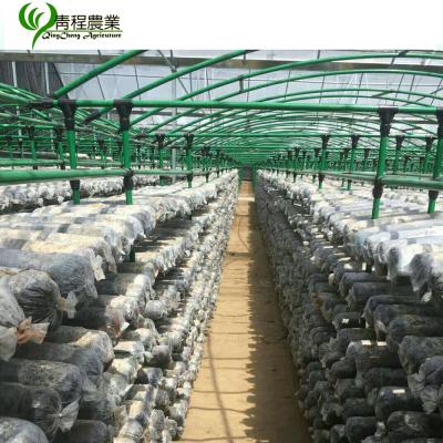 China Succulent Hinge Room Indoor Garden Mushroom Table Climate Control Growing Equipment Grow Room / To Grow Tent Kit for sale