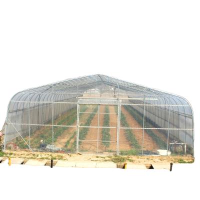 China Plastic Film Greenhouse Greenhouse In-Solar Greenhouse Agriculture for sale