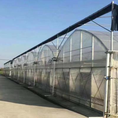 China Stable Structure Easily Assembled Intelligent Multi-span Agricultural Greenhouses for sale