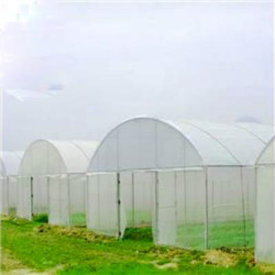 China Stable structure easily assembled low price single-span tunnel greenhouse for sale