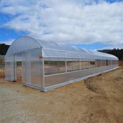 China Easily Assembled Agricultural Single-span Plastic Film Tunnel Greenhouse for sale