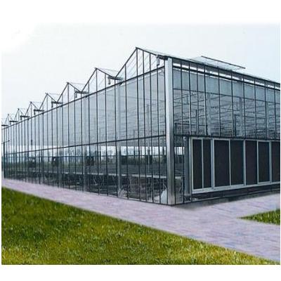 China PC Covered Houses PC Sheet Film Shed Greenhouse 200 Micron Plant Tomato Fruit Plastic Agricultural Plant Vegetable Flowers for sale