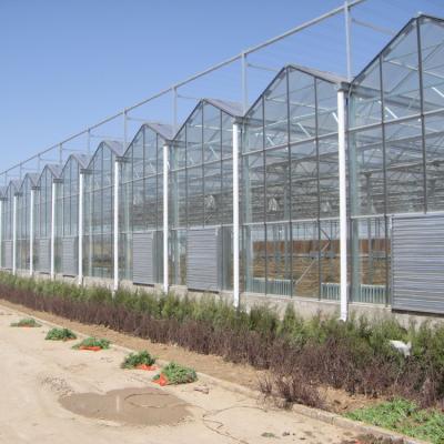 China PC Covered PC Shed Commercial Green House For Sale for sale